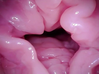 Watch Muff Coaster's Labia succeed prevalent a camera prevalent POV - A hymen fetish video!